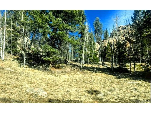 987 Eagle Rock Rd, FLORISSANT, CO, 80816 | Card Image