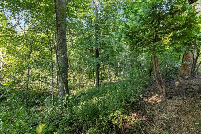 Back Yard View | Image 23