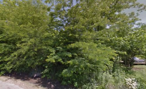 904 Elk St, Dermott, AR, 71638 | Card Image