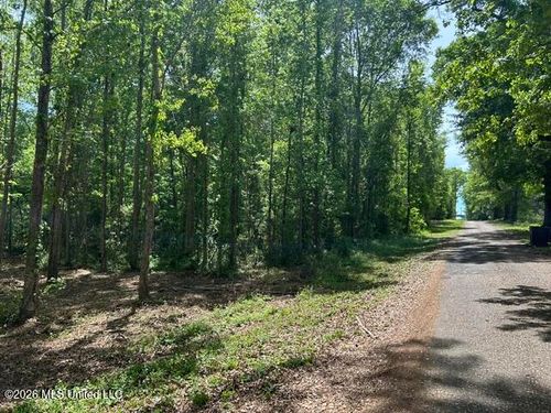Parcel 3 Stovall Ln, Summit, MS, 39666 | Card Image