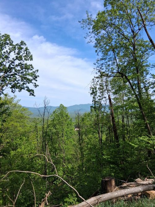 0 Robinson Gap Road, Monroe, VA, 24574 | Card Image