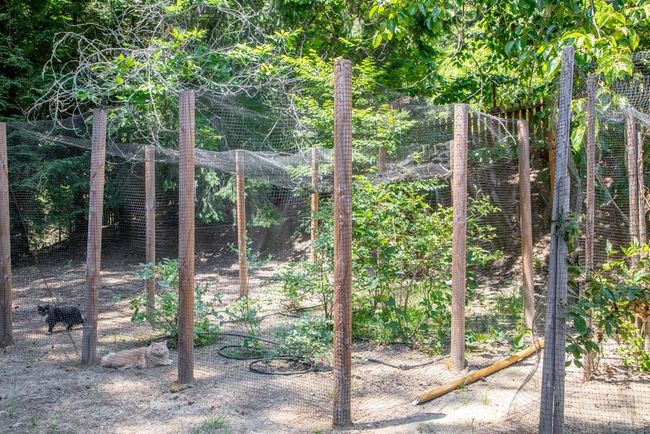 350 Aurora Rd, House other with 4 bedrooms, 4 bathrooms and 10 parking in Soquel CA | Image 37