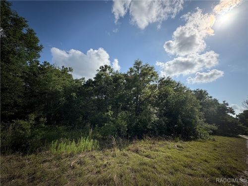 2813 Van Buren St, INVERNESS, FL, 34453-2108 | Card Image