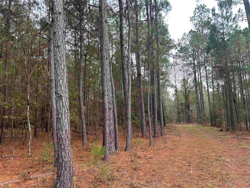 TBD Highway 746, Loris, SC, 29569 | Card Image