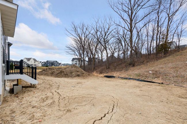Landscaping coming soon! Sod, irrigation, trees, mulch, shrubs, etc. | Image 24