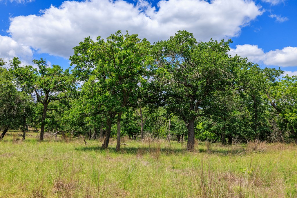 Farm in Fredericksburg 3