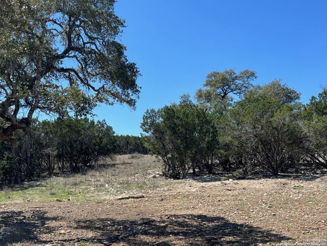 LOT 2 Vaquero Pass, Home with 0 bedrooms, 0 bathrooms and null parking in Boerne TX | Image 4
