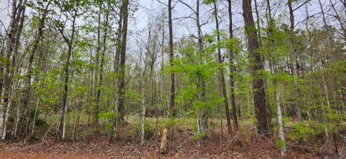 Lot A-1 Lod Stafford Rd, Walker, LA, 70785 | Card Image
