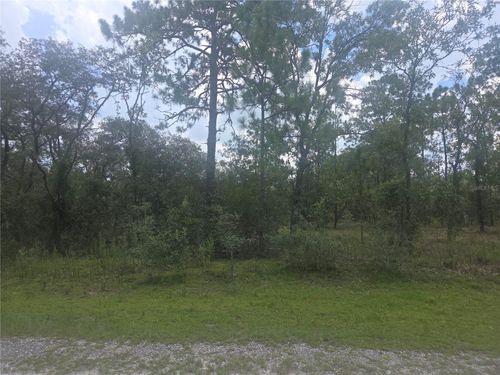 Lot 3 Se 129th Ct, Dunnellon, FL, 34431 | Card Image