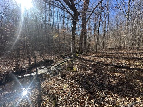 0 Rack Clayton Road, Hohenwald, TN, 38462 | Card Image