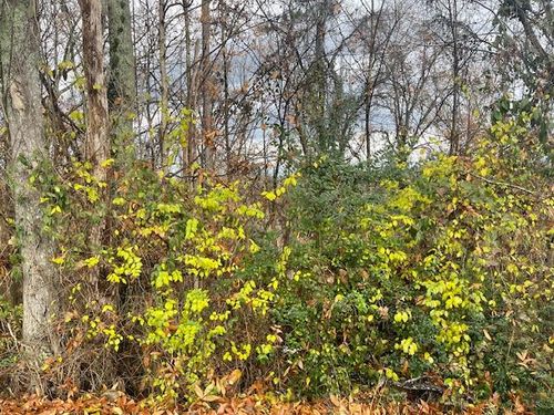 0 S Mission Ridge Dr, Rossville, GA, 30741 | Card Image