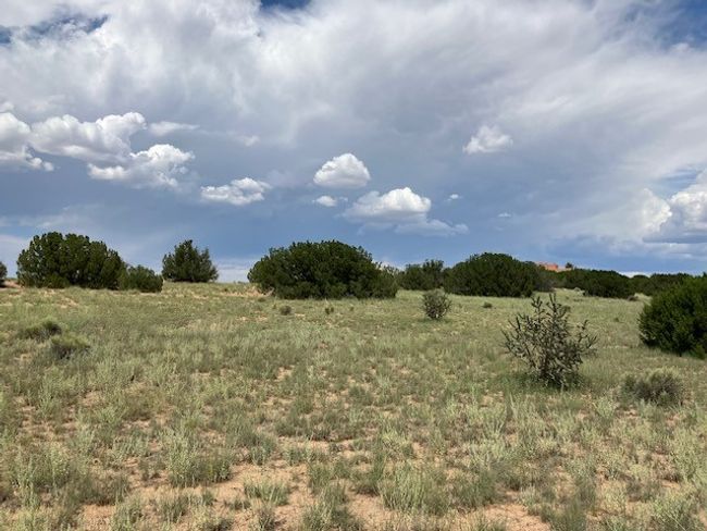 3 Private Drive 1613 B, Home with 0 bedrooms, 0 bathrooms and null parking in Medanales NM | Image 7