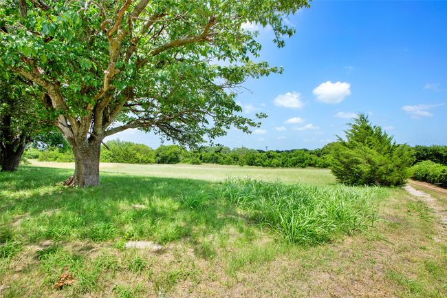 View of yard | Image 11