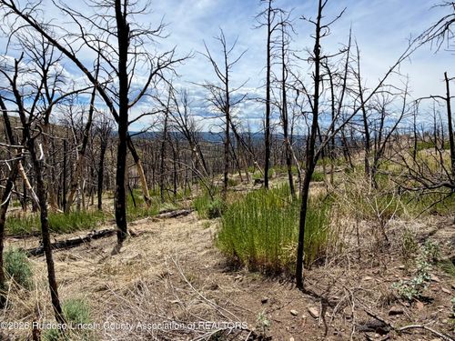 Lot 16 Mount Hood, Ruidoso, NM, 88345 | Card Image