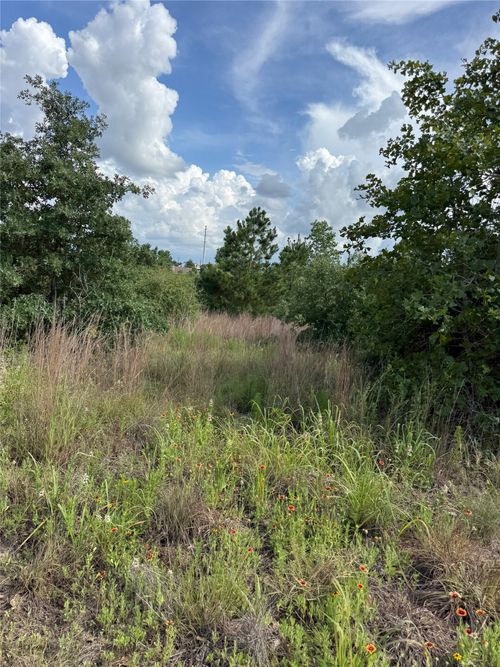Lots 89-90 Pintail Lane, Bastrop, TX, 78602 | Card Image