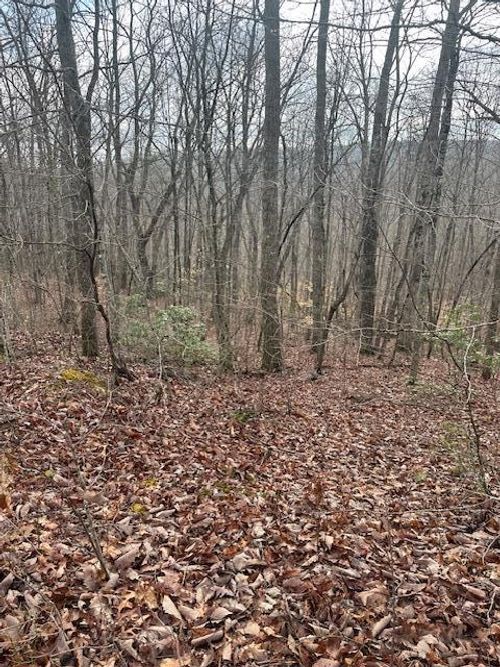 lot 38 Pioneer Trail Ln, Crawford, TN, 38554 | Card Image