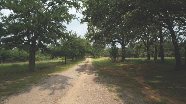 View of dirt / gravel road | Image 24