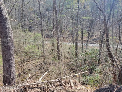 Lot 25 Alpine Dr, Sevierville, TN, 37876 | Card Image
