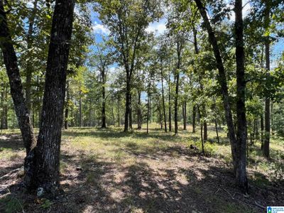 0 - 0 Highway 51, Home with 0 bedrooms, 0 bathrooms and null parking in WESTOVER AL | Image 2