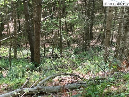 Lots 55 & 57 Meadow Crest Drive, Jefferson, NC, 28640 | Card Image