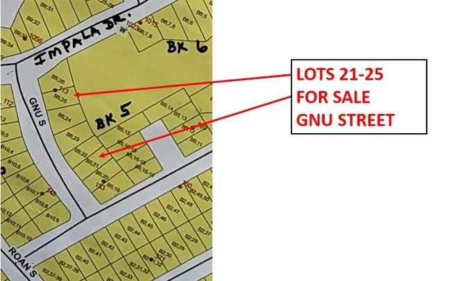 21 Gnu S, Home with 0 bedrooms, 0 bathrooms and null parking in Onalaska TX | Image 32