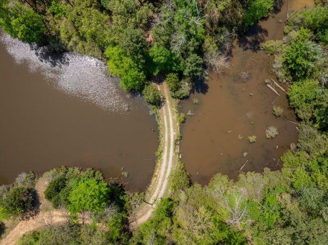 Bird's eye view | Image 9