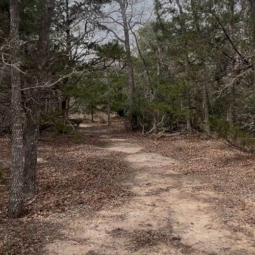 Lot 10 S Old Potato Rd, Paige, TX, 78659 | Card Image