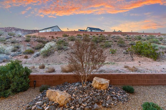 Back Yard | Image 15
