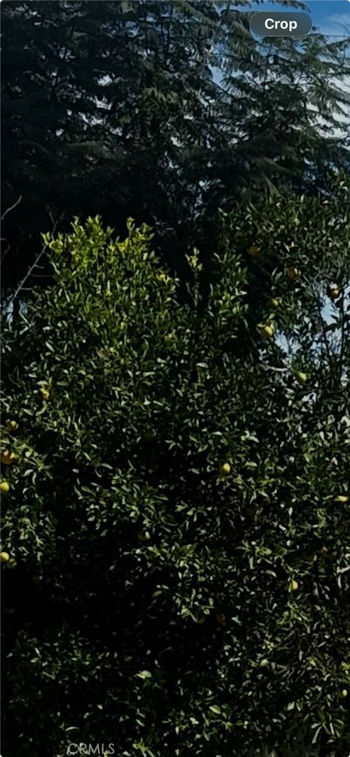 9667 Hillhaven Ave, Tujunga, CA, 91042-3011 | Card Image