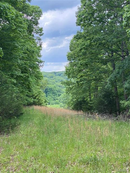 14 +/- AC Steeple Rock Drive, Defiance, MO, 63341 | Card Image