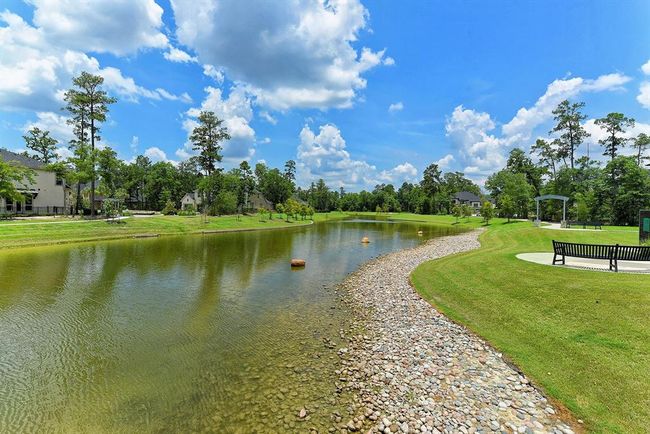 Pond. | Image 44