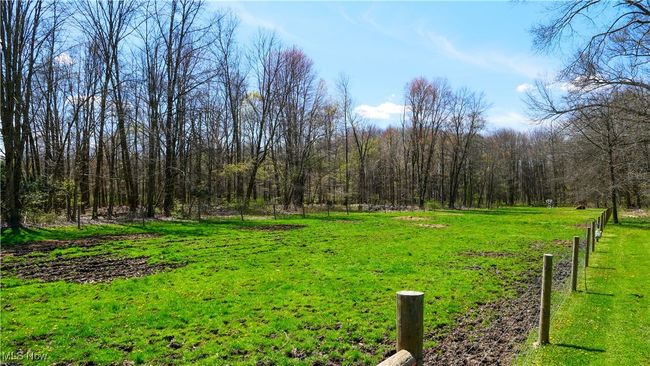 View of yard featuring fence and a view of trees | Image 36