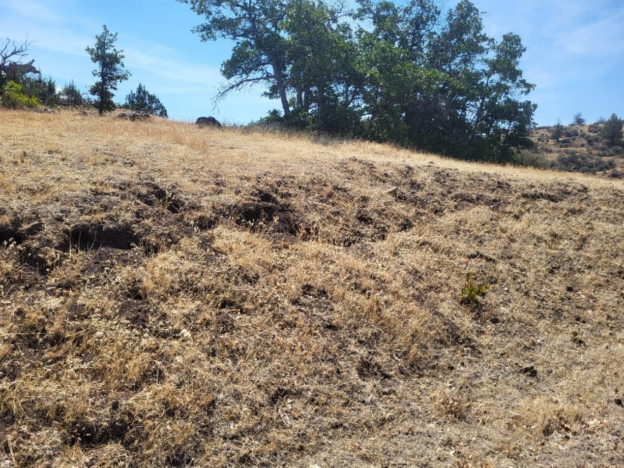 Land in Hornbrook 5