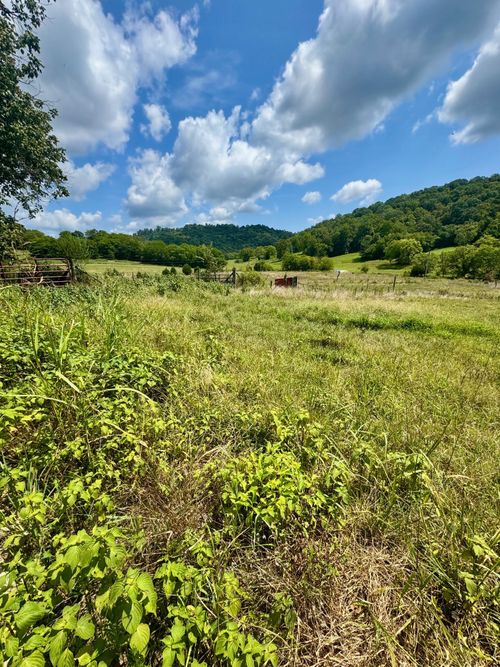 0 Duke Hollow Ln, Carthage, TN, 37030 | Card Image