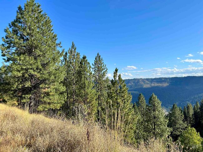 1510 Summitview Dr, House other with 2 bedrooms, 1 bathrooms and null parking in Orofino ID | Image 35