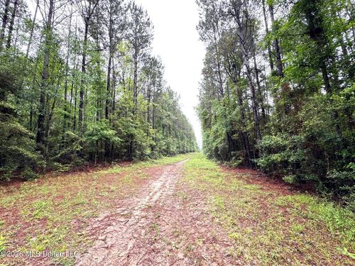 000 Emerald State Line Rd, Magnolia, MS, 39652 | Card Image