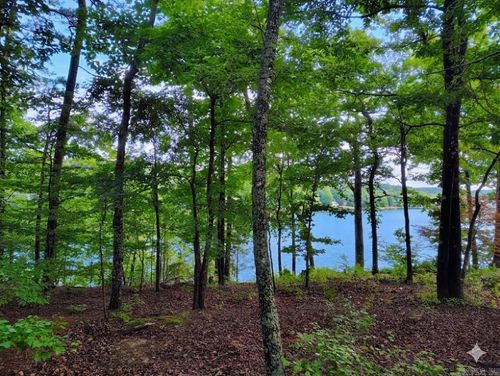 6 Sacedon Cir, Hot Springs Village, AR, 71909-7424 | Card Image