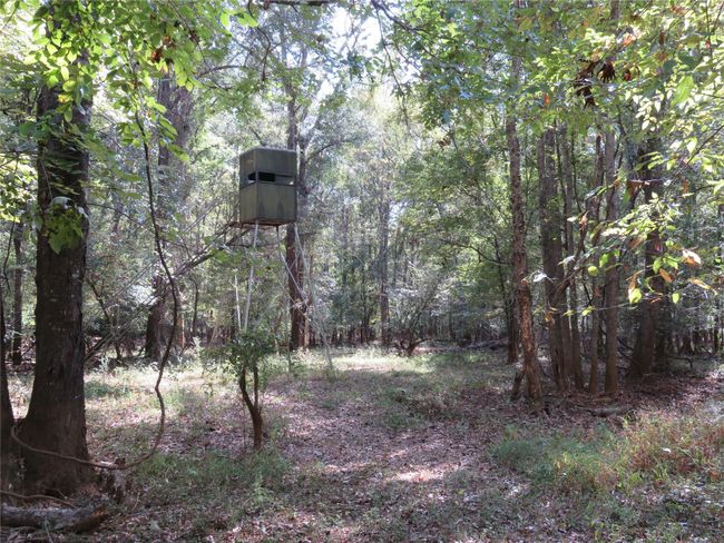 9795 S Us Highway 59, Home with 0 bedrooms, 0 bathrooms and null parking in Nacogdoches TX | Image 13