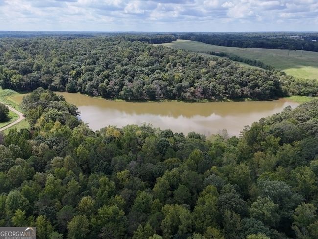 TRACT-10 - 0 Sanford Dr, Home with 0 bedrooms, 0 bathrooms and null parking in Nicholson GA | Image 8
