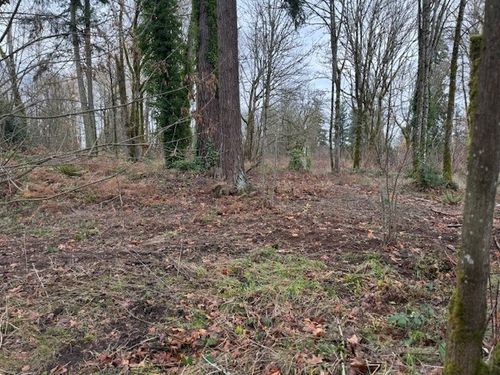 jk-36836 52nd Ave S, Auburn, WA, 98001-8809 | Card Image