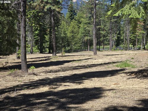 19 Elk Haven Way, Crescent, OR, 97733 | Card Image