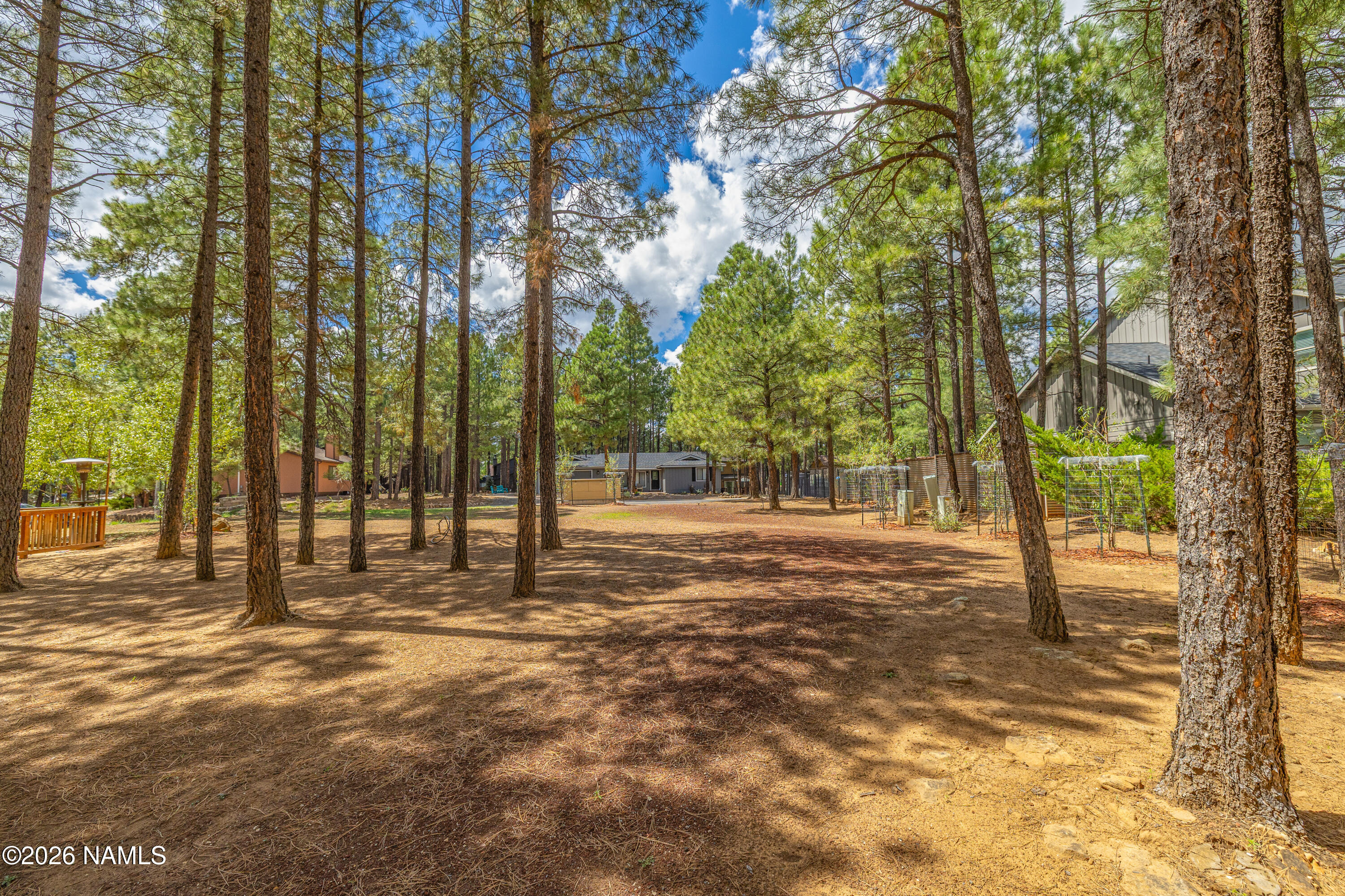 Land in Flagstaff 4