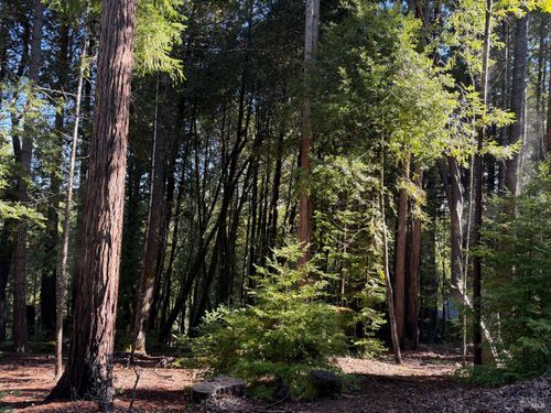 27089 Otter Ct, Willits, CA, 95490-9425 | Card Image