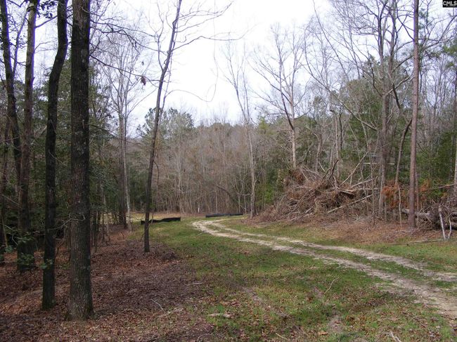 0 Great Circle Drive, Home with 0 bedrooms, 0 bathrooms and null parking in St. Matthews SC | Image 6
