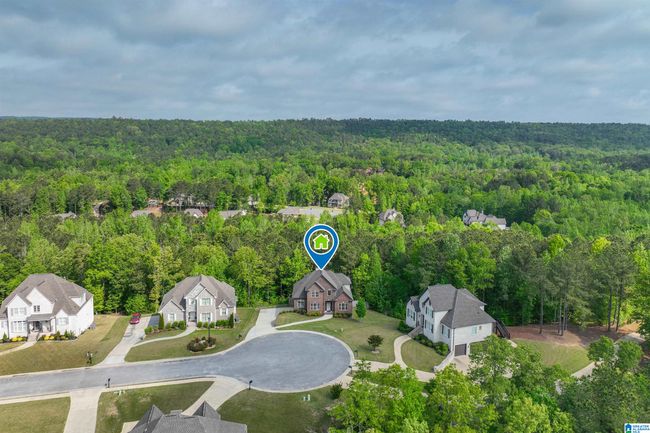 1025 Willow Branch Trl, House other with 4 bedrooms, 5 bathrooms and null parking in CHELSEA AL | Image 61