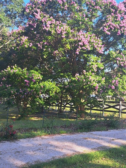 9394 County Road 865, Princeton, TX, 75407-4692 | Card Image