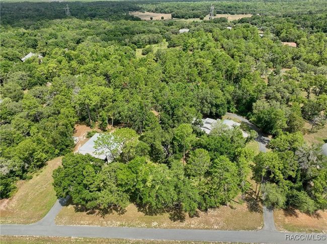 Fronting on 12 Oaks Airstrip/taxiway and tucked in beautiful trees 3/2 home with airplane hangar | Image 42