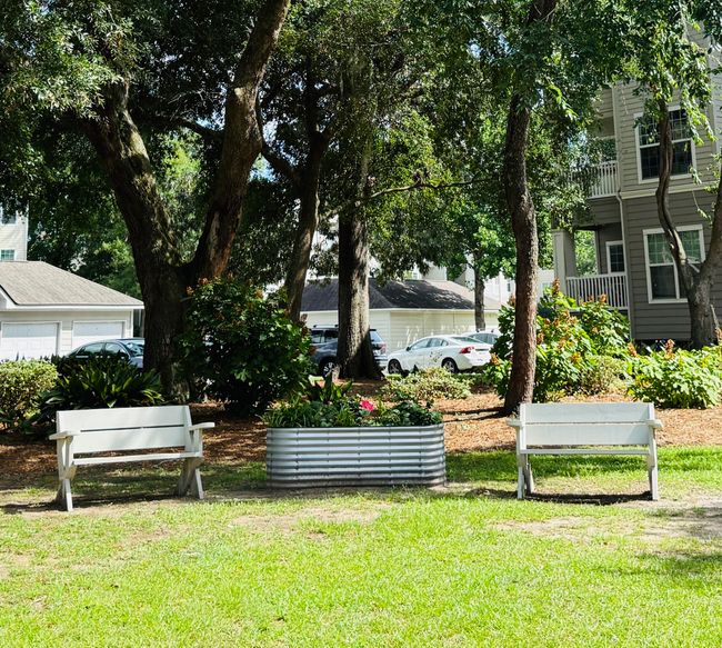 Ryan Condo - Park Benches | Image 10