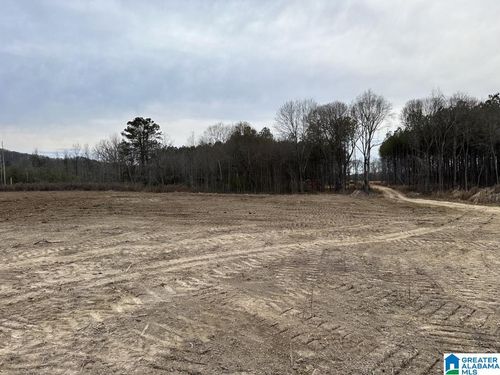 --3712 Beasley Rd, Hokes Bluff, AL, 35903-6824 | Card Image