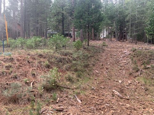 1430 Gloria Drive, Arnold, CA, 95223 | Card Image